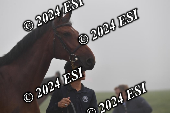 720CAH_6264