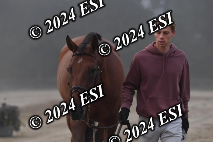720CAH_6292