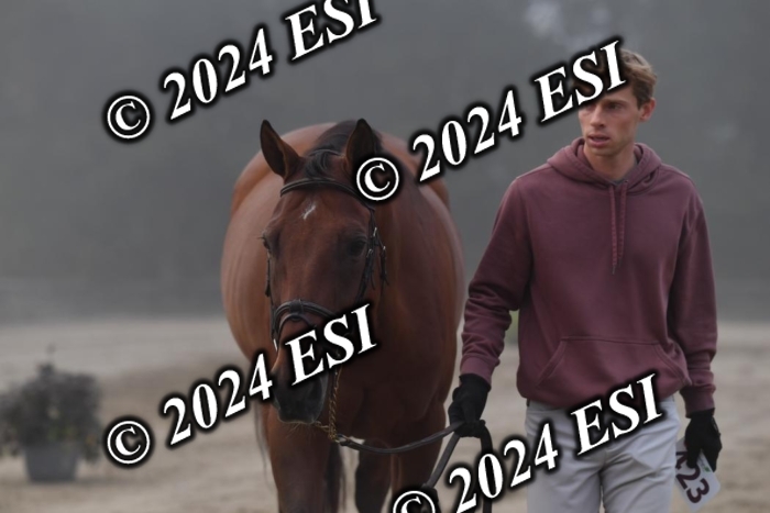 720CAH_6293