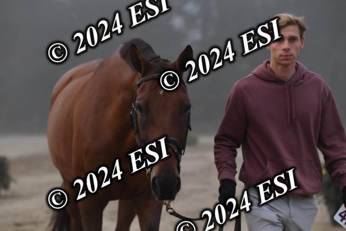 720CAH_6296
