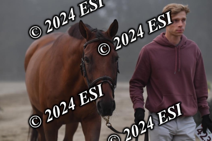 720CAH_6297