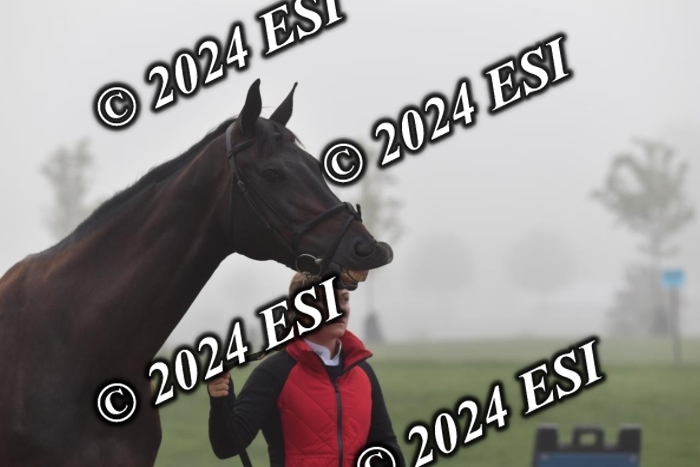 720CAH_6298