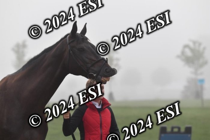 720CAH_6299