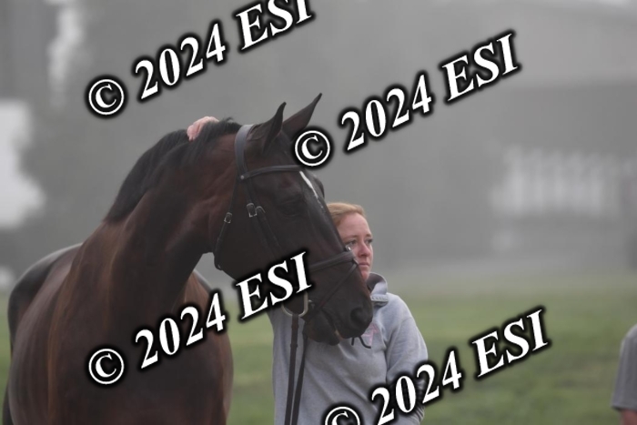 720CAH_6327