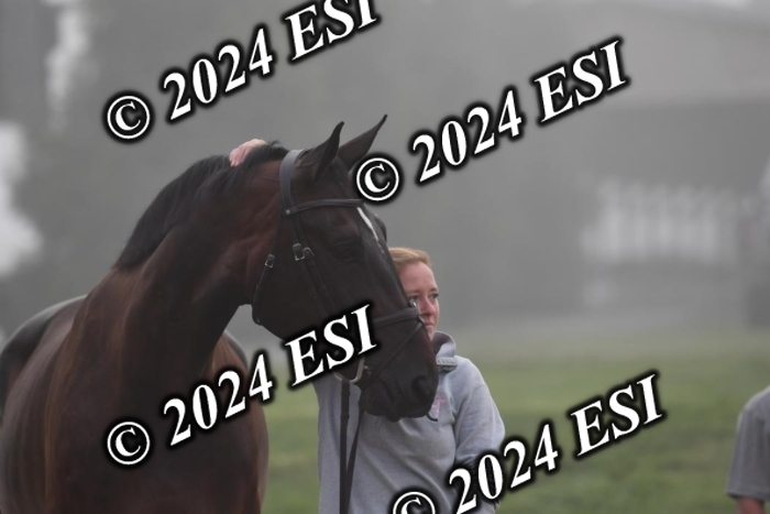 720CAH_6328