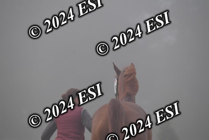 720CAH_6343