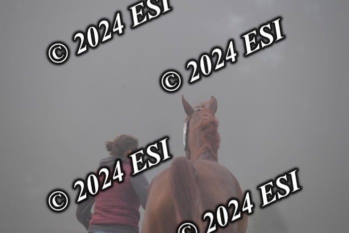 720CAH_6344