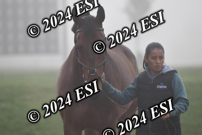 720CAH_6376