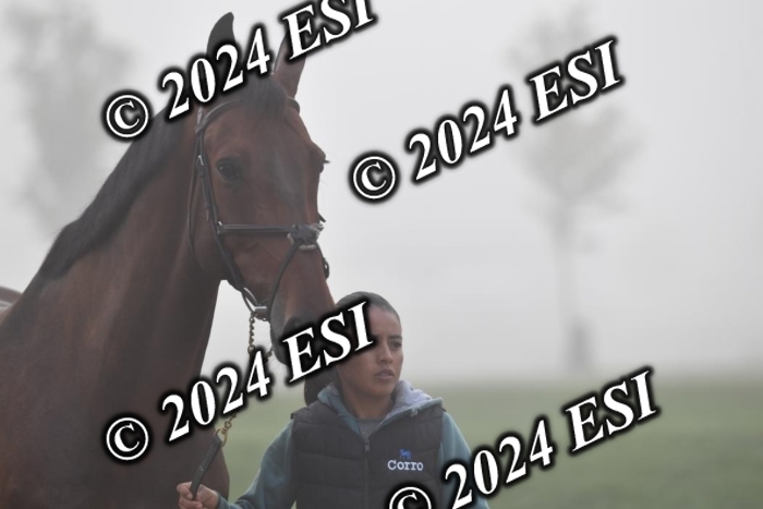 720CAH_6378