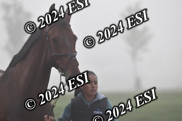 720CAH_6379