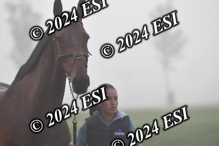 720CAH_6380
