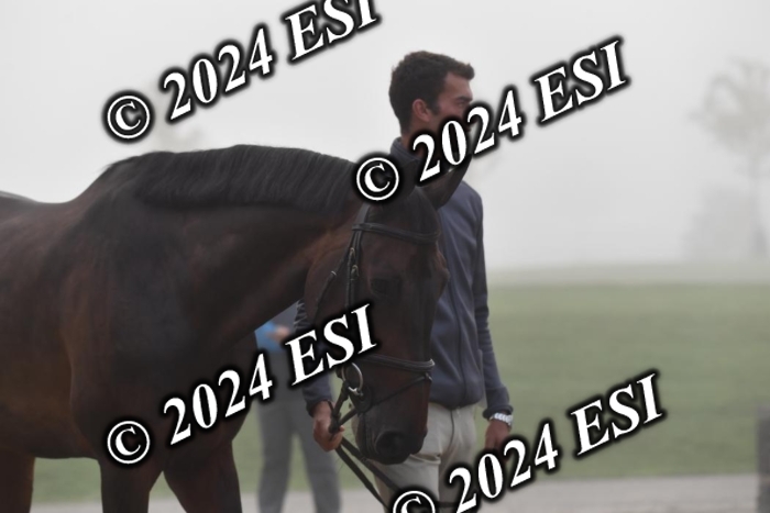 720CAH_6393