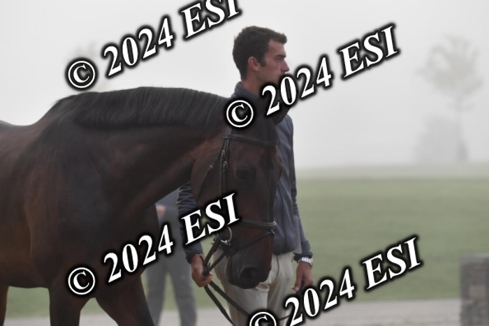 720CAH_6394