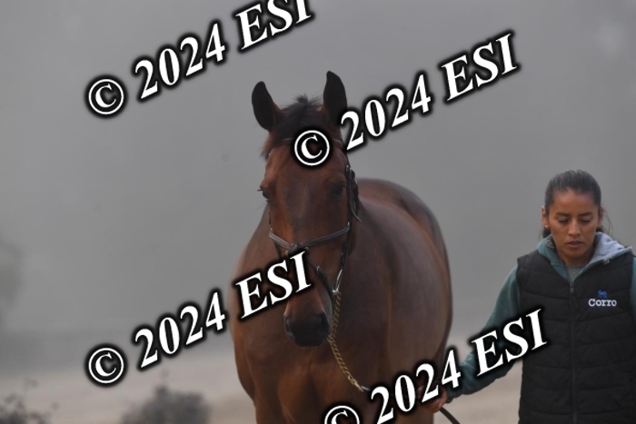 720CAH_6415