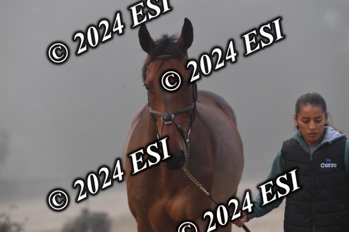 720CAH_6416