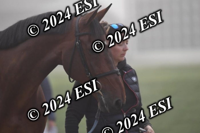 720CAH_6420