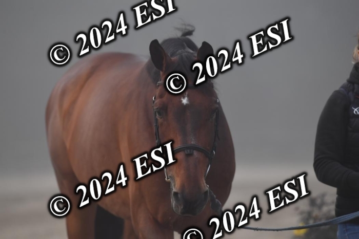 720CAH_6427