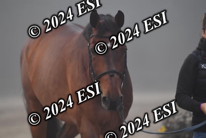 720CAH_6428