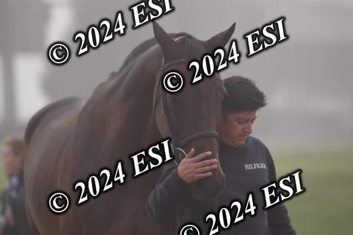 720CAH_6471