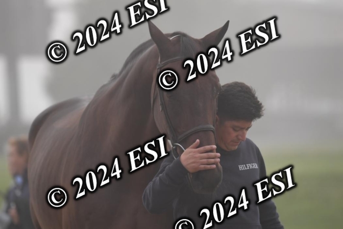 720CAH_6472