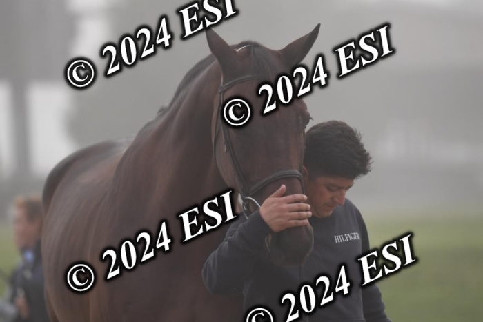 720CAH_6473