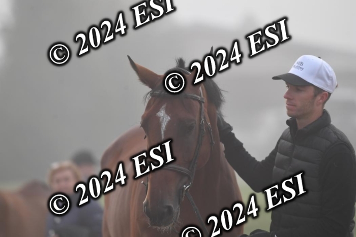 720CAH_6478