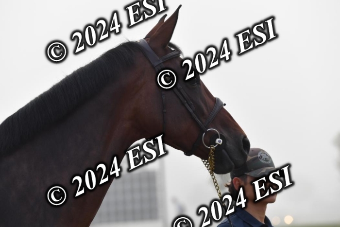 720CAH_6513