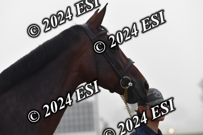 720CAH_6514