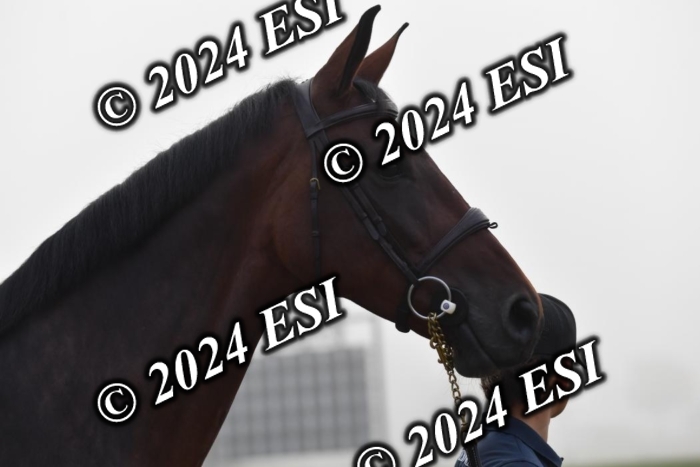 720CAH_6516