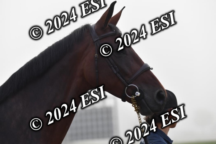 720CAH_6517