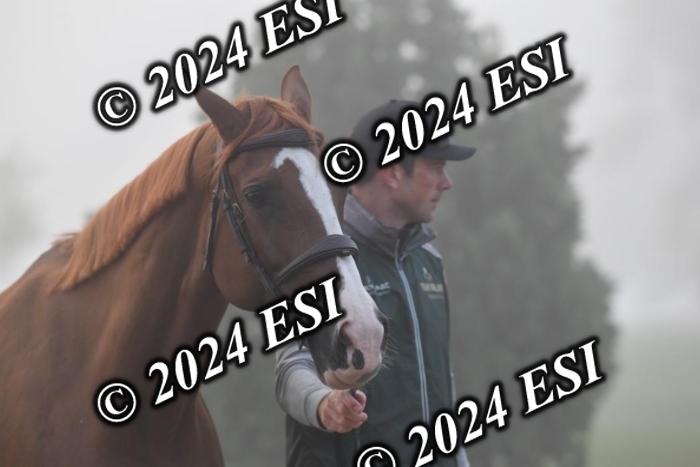 720CAH_6537