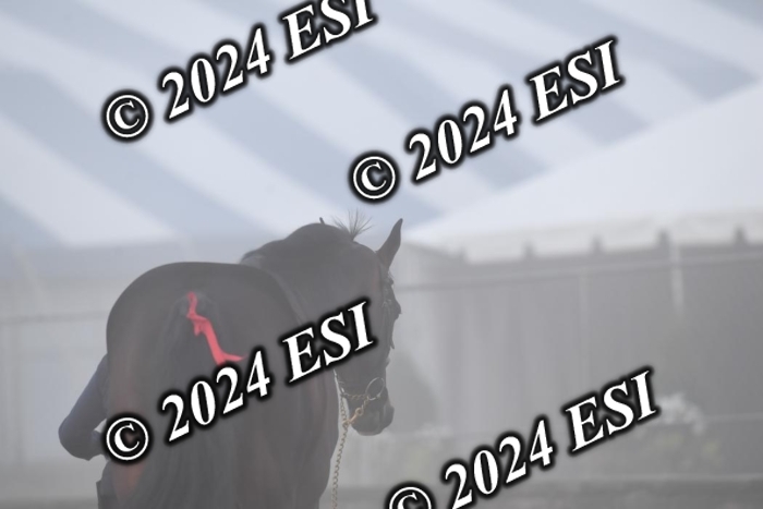 720CAH_6556