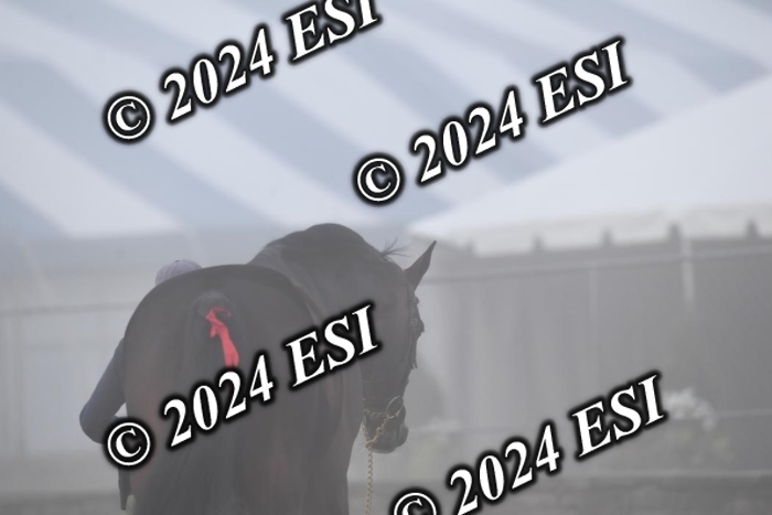 720CAH_6557