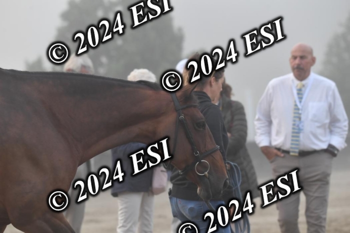 720CAH_6560