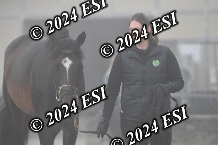 720CAH_6564