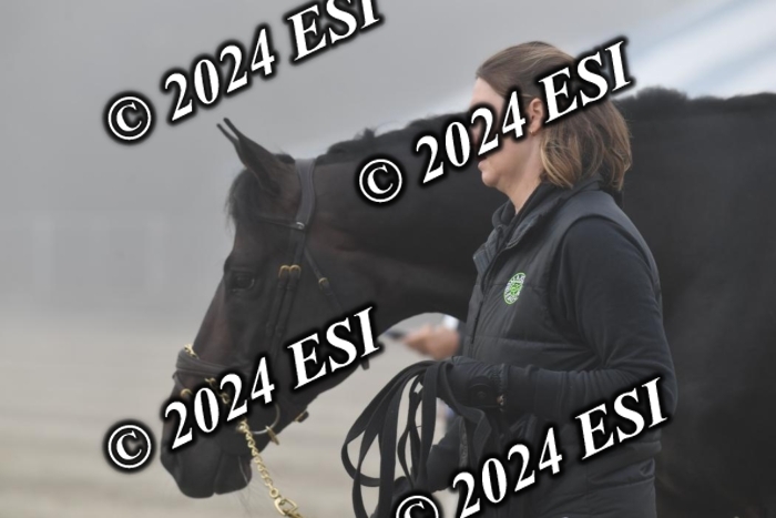 720CAH_6567