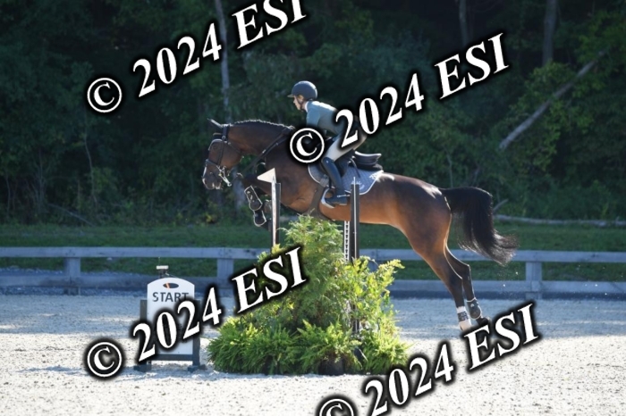212DK1_1901