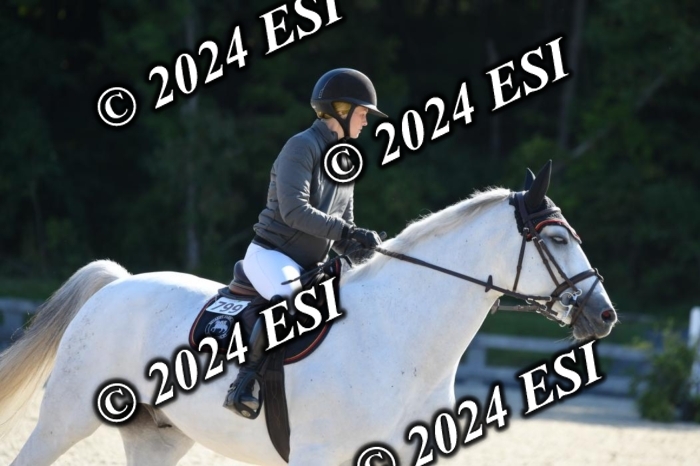 212DK1_1906