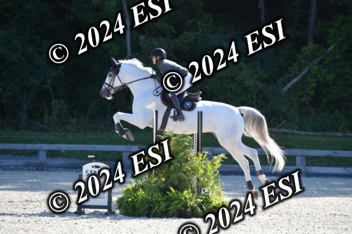 212DK1_1908