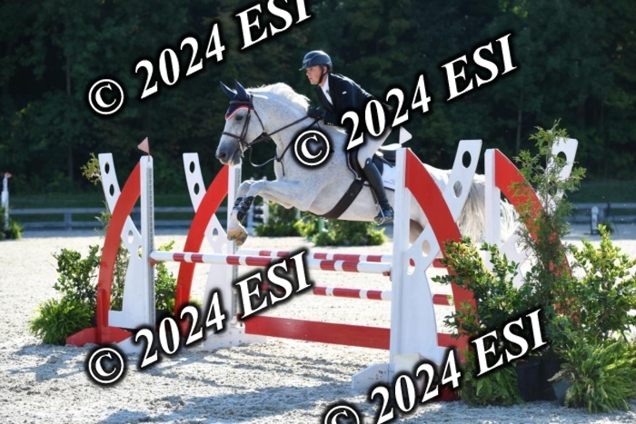 212DK1_1928
