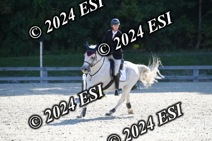 212DK1_1934