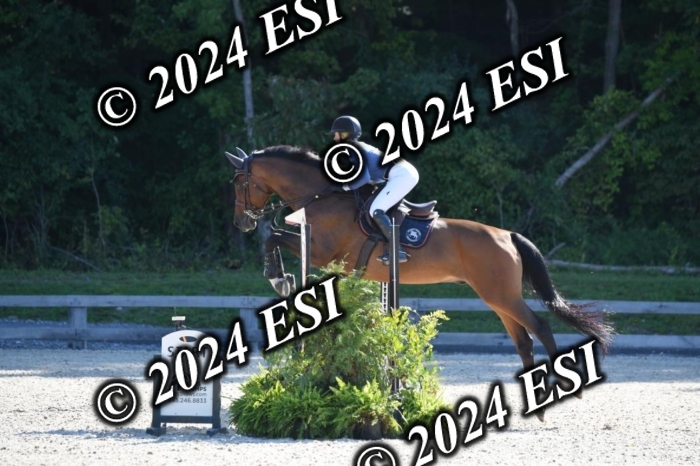 212DK1_1938