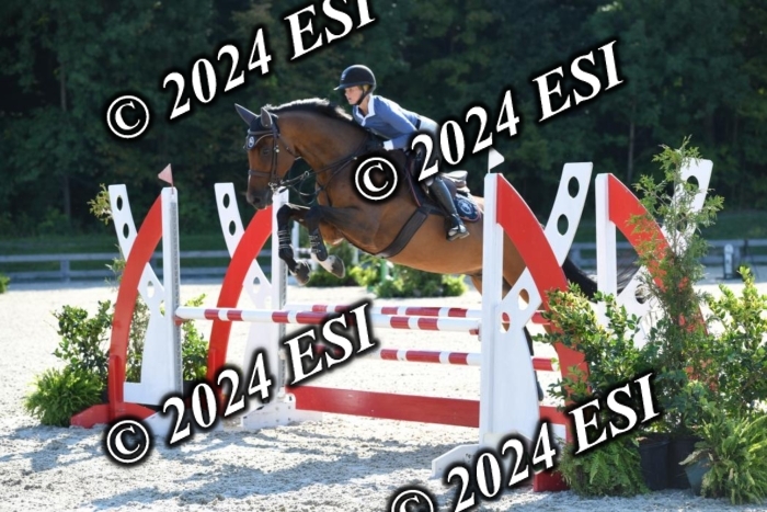 212DK1_1939