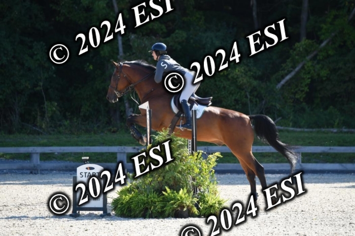 212DK1_1953