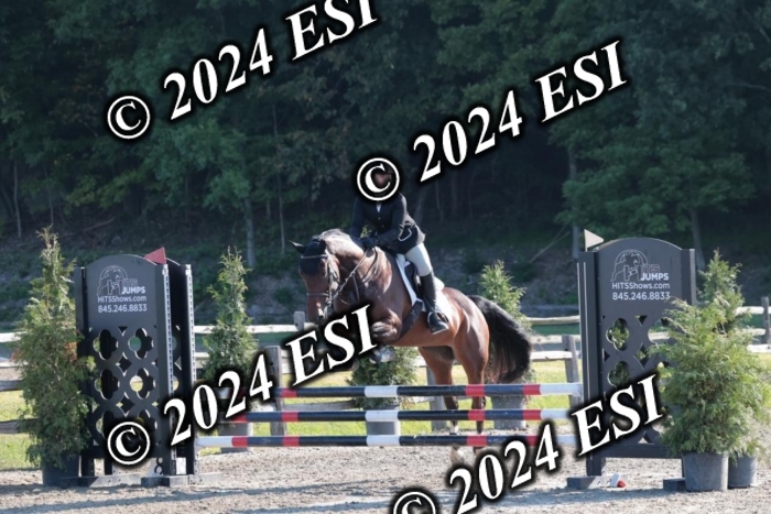 204SC1_9490