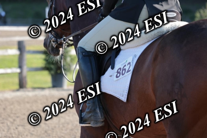 204SC1_9498