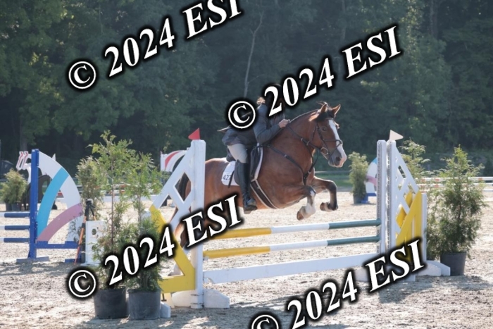 204SC1_9544