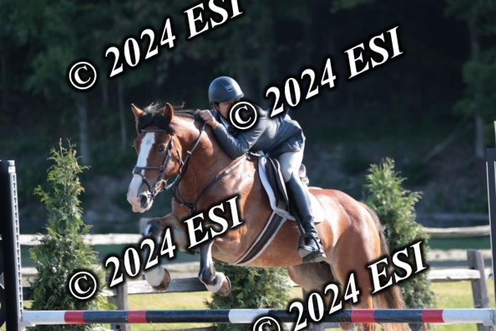 204SC1_9559