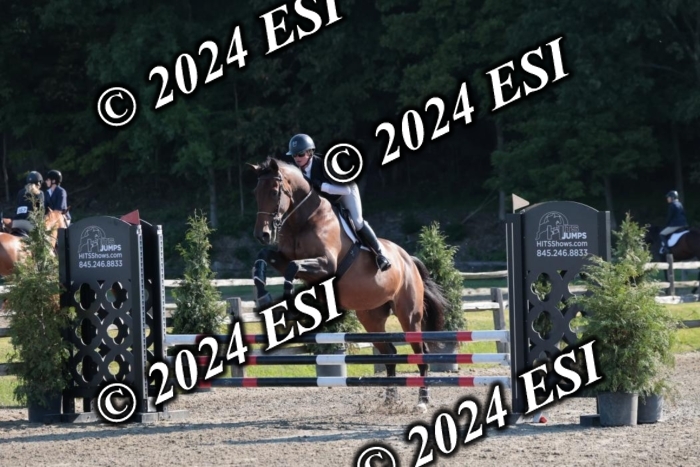 204SC1_9568