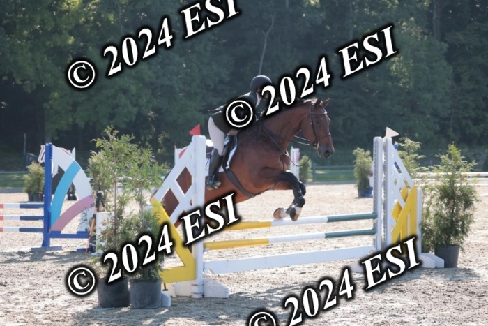 204SC1_9611